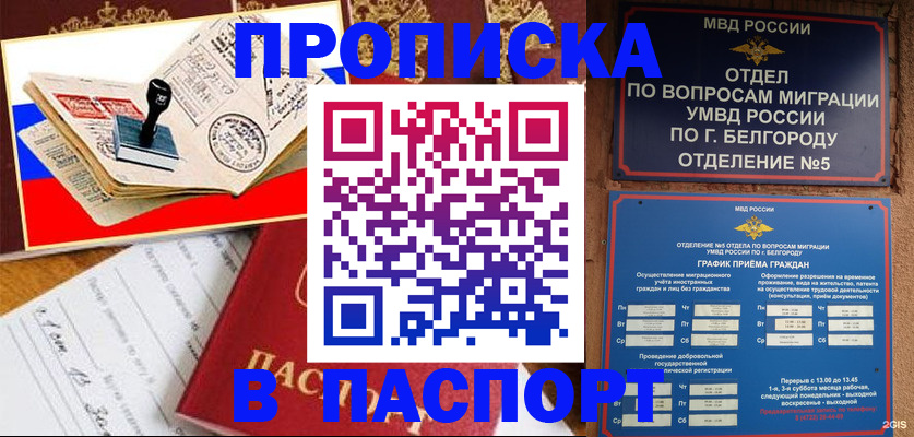 купить прописку в Козловке